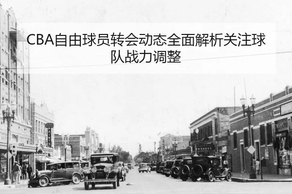 CBA自由球员转会动态全面解析关注球队战力调整